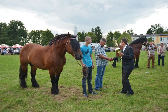 Powiatowa Wystawa Koni 2014