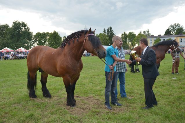 Powiatowa Wystawa Koni 2014
