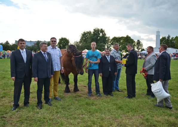 Powiatowa Wystawa Koni 2014