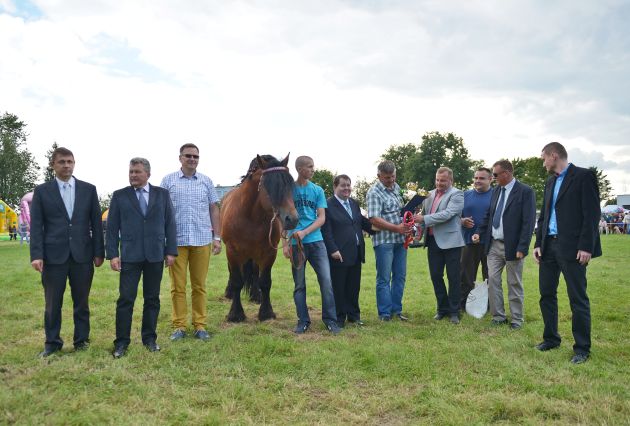 Powiatowa Wystawa Koni 2014
