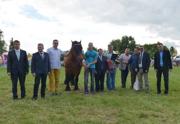Powiatowa Wystawa Koni 2014