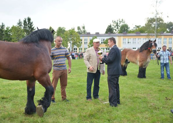Powiatowa Wystawa Koni 2014