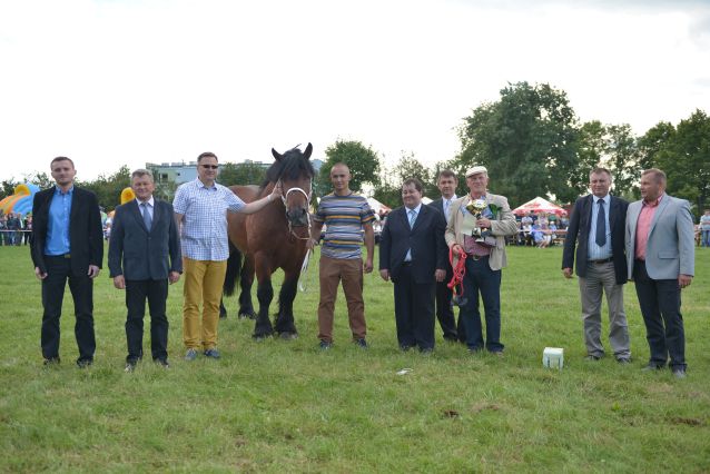Powiatowa Wystawa Koni 2014