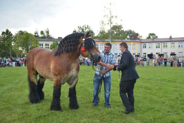 Powiatowa Wystawa Koni 2014
