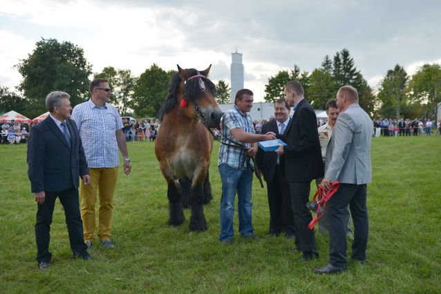 Powiatowa Wystawa Koni 2014