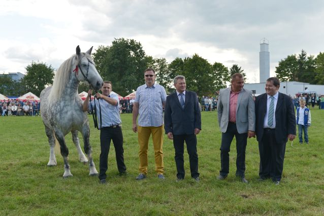 Powiatowa Wystawa Koni 2014