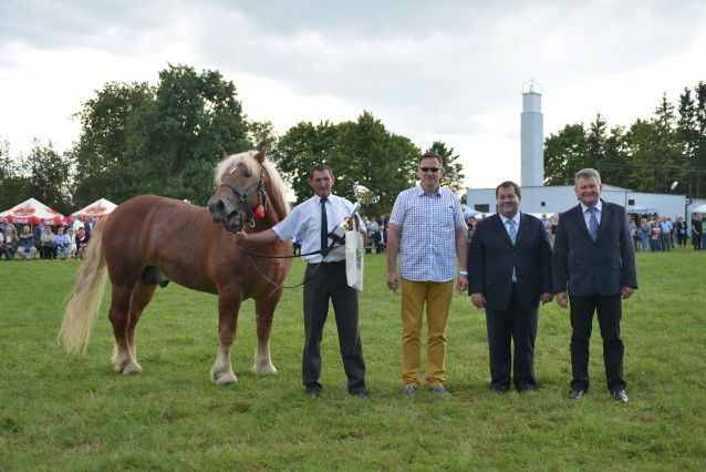 Powiatowa Wystawa Koni 2014