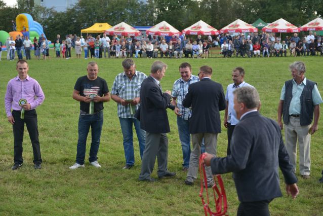 Powiatowa Wystawa Koni 2014