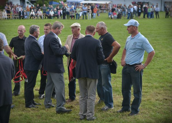 Powiatowa Wystawa Koni 2014