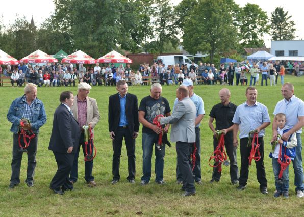 Powiatowa Wystawa Koni 2014