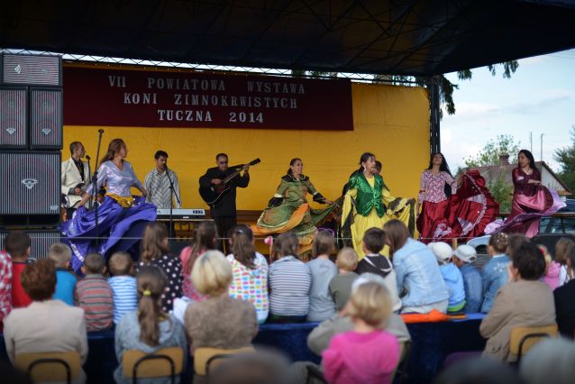 Powiatowa Wystawa Koni 2014