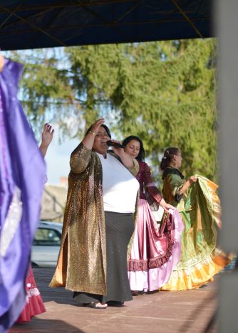 Powiatowa Wystawa Koni 2014