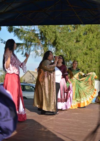 Powiatowa Wystawa Koni 2014