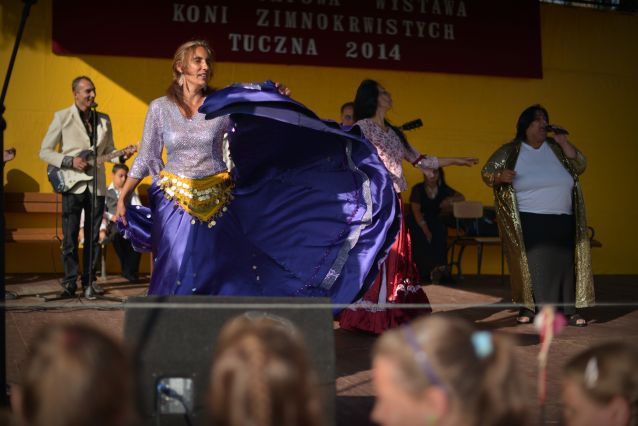 Powiatowa Wystawa Koni 2014