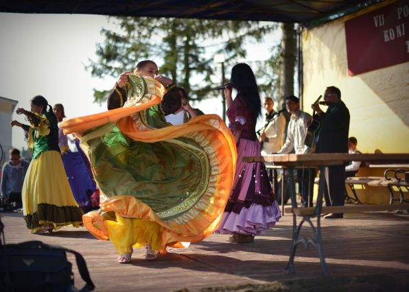 Powiatowa Wystawa Koni 2014