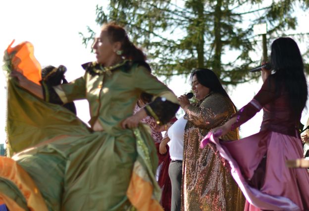 Powiatowa Wystawa Koni 2014