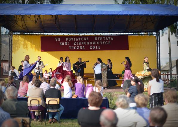 Powiatowa Wystawa Koni 2014