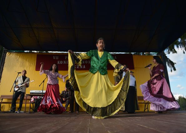 Powiatowa Wystawa Koni 2014