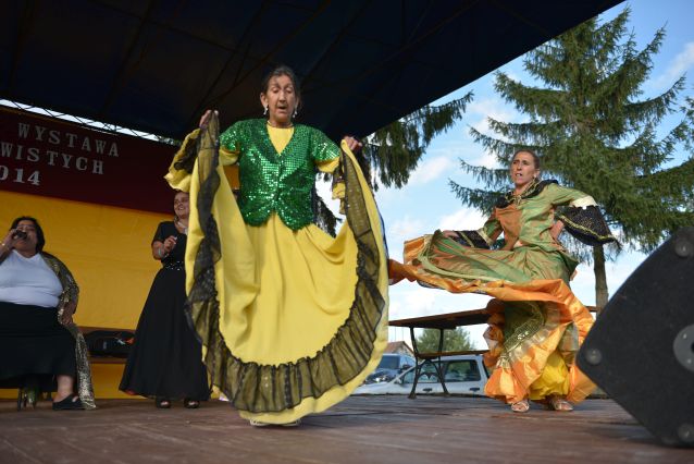 Powiatowa Wystawa Koni 2014