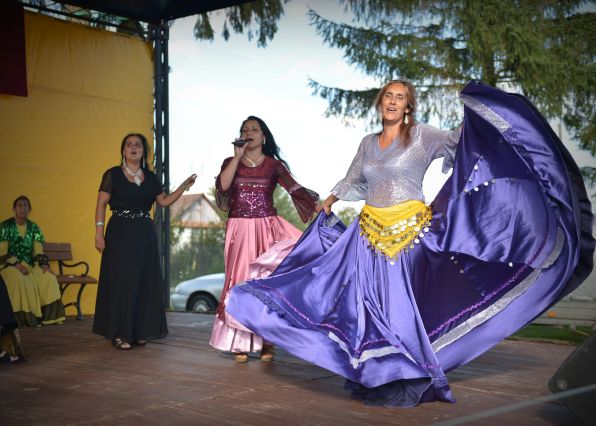Powiatowa Wystawa Koni 2014