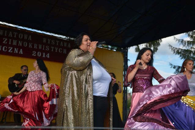 Powiatowa Wystawa Koni 2014