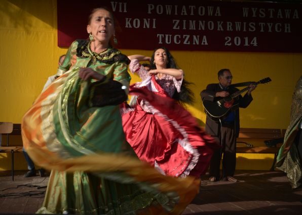 Powiatowa Wystawa Koni 2014