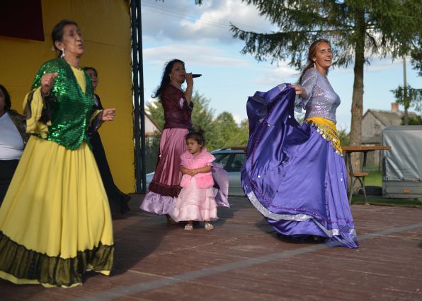 Powiatowa Wystawa Koni 2014