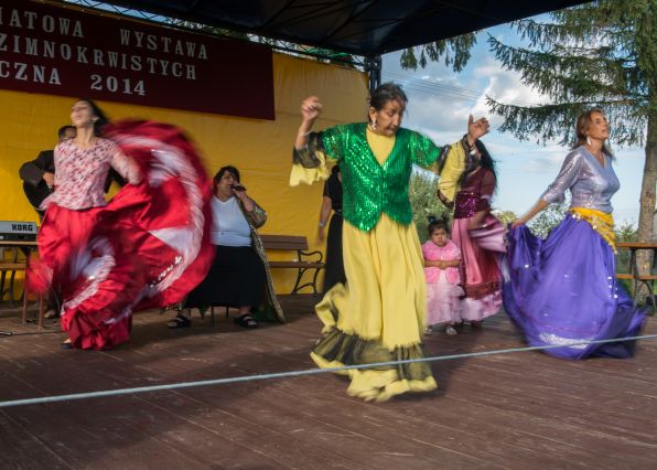 Powiatowa Wystawa Koni 2014