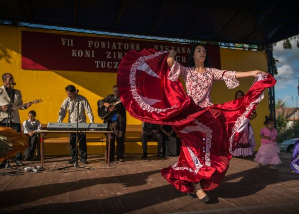 Powiatowa Wystawa Koni 2014