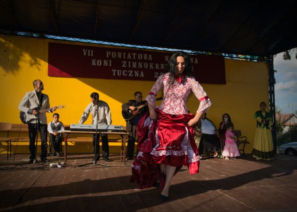 Powiatowa Wystawa Koni 2014