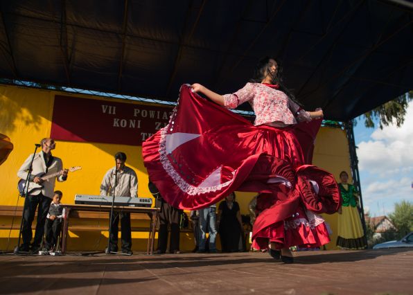 Powiatowa Wystawa Koni 2014