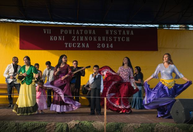 Powiatowa Wystawa Koni 2014