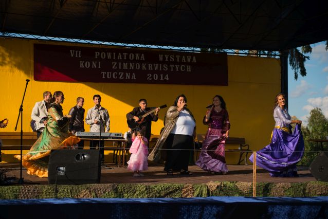Powiatowa Wystawa Koni 2014