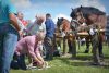 Powiatowa Wystawa Koni 2014