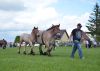 Powiatowa Wystawa Koni 2014