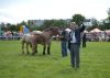 Powiatowa Wystawa Koni 2014