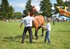 Powiatowa Wystawa Koni 2014