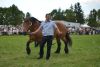 Powiatowa Wystawa Koni 2014
