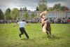 Powiatowa Wystawa Koni 2014