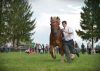 Powiatowa Wystawa Koni 2014