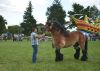 Powiatowa Wystawa Koni 2014