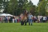 Powiatowa Wystawa Koni 2014