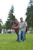 Powiatowa Wystawa Koni 2014