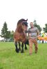 Powiatowa Wystawa Koni 2014