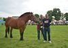 Powiatowa Wystawa Koni 2014