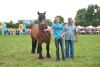 Powiatowa Wystawa Koni 2014