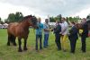 Powiatowa Wystawa Koni 2014