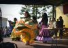 Powiatowa Wystawa Koni 2014