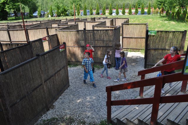 Wycieczka do Maciejowic i farmę iluzji
