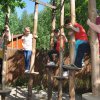 Wycieczka do Maciejowic i farmę iluzji